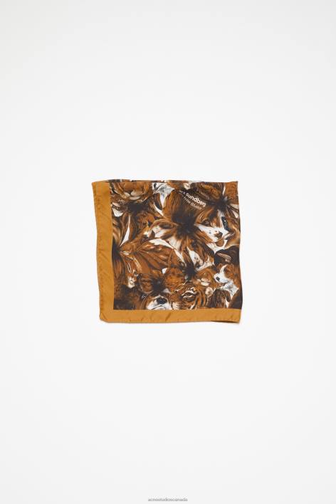 Accessories 8FXBR632 Acne Studios Print silk scarf Brown